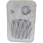 PE-SPE-WM-305TW-100W-WALL-TYPE-SPEAKER.png
